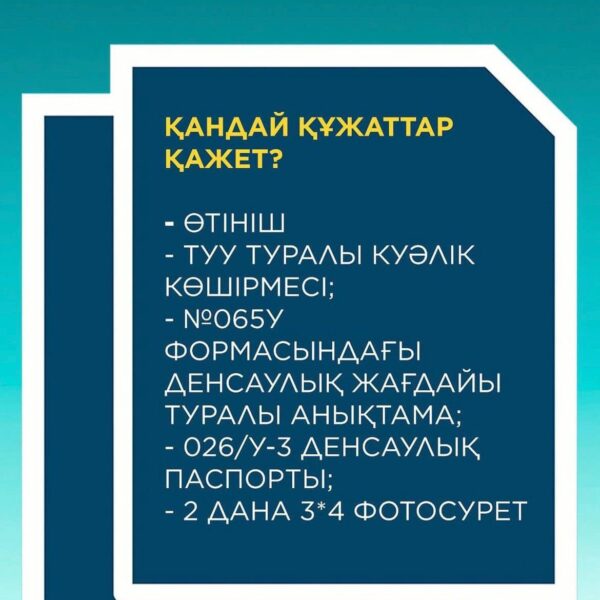 433005958_1569546190501934_5596683377459869382_n