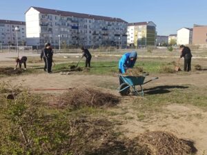 549784592_1841848630544470_3087652447719894983_n